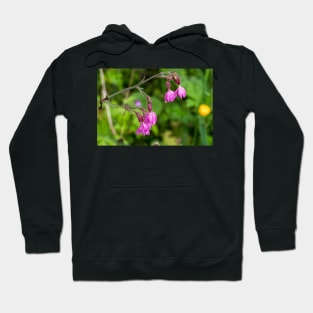 English Red Campion and raindrops Hoodie